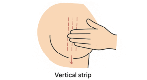 Image demonstrating the vertical strip motion when completing a breast self exam
